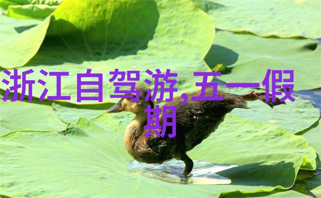 深圳三日游最佳路线来吧一场探索城市精华的奇妙之旅