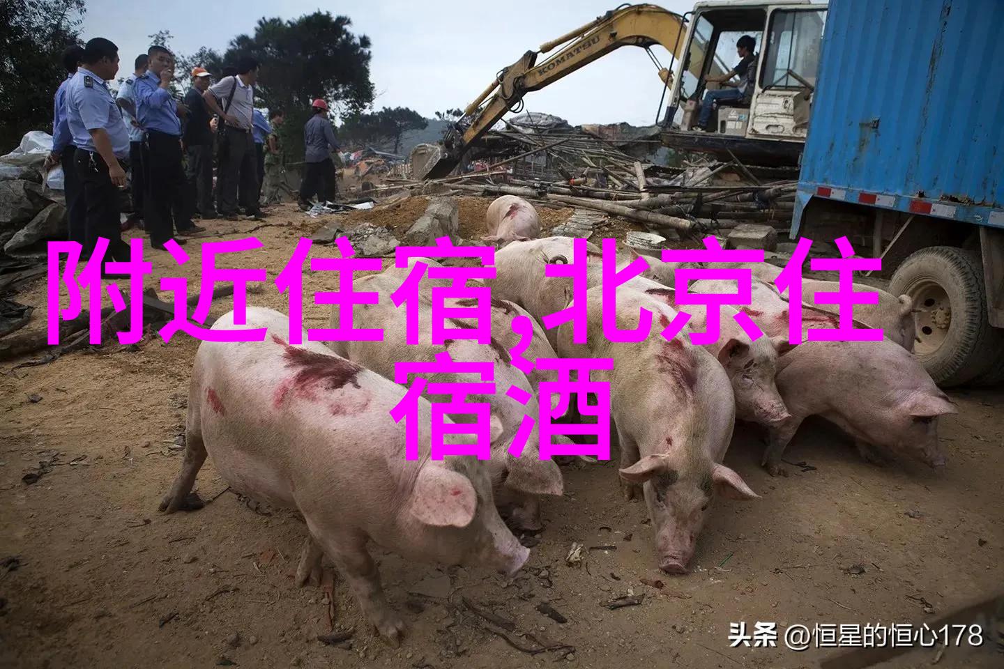在九华山附近哪些酒店提供最好的客房视角