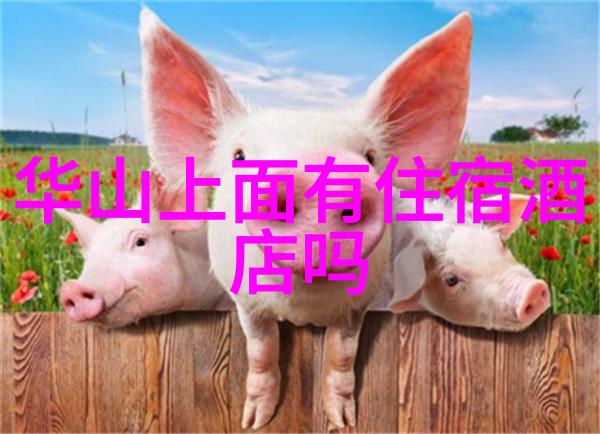 安吉旅游必去的景点安吉古镇灵隐寺乌镇水乡