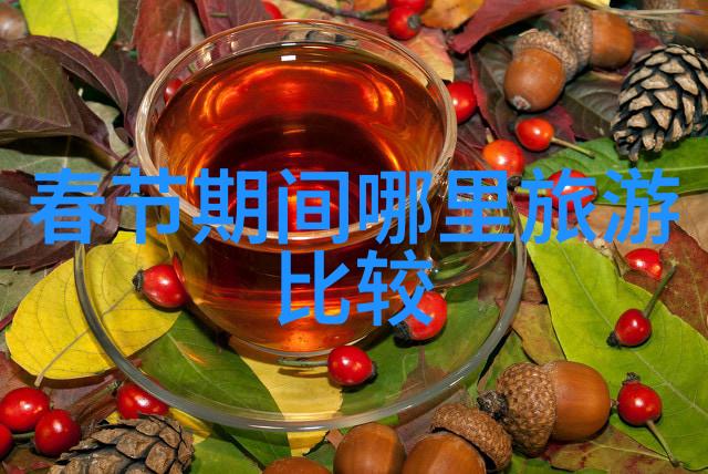 在公交车上迷失的步伐被弄进走不动路的孤独旅行