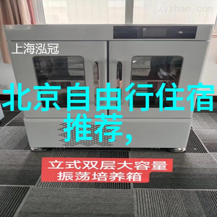 驾驭自由探索自驾游的英文乐章