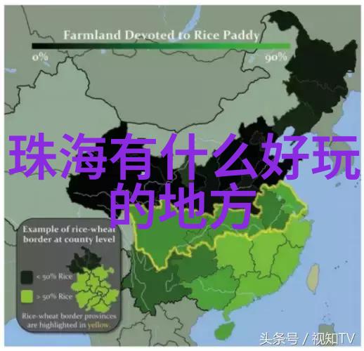 团体性趣味活动探索集体兴趣与娱乐的奇妙世界