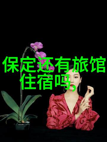 西安自驾游研究探索古都文化与现代交通的交汇点
