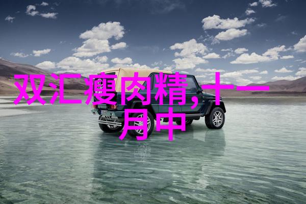 乌镇民宿在西栅景区内吗-探索乌镇美食与住宿西栅景区内的民宿选择