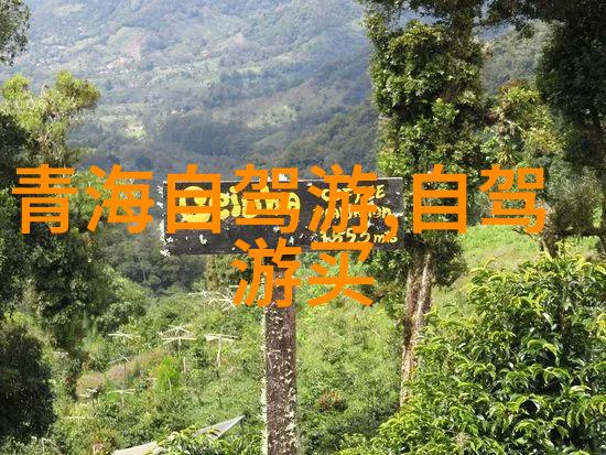 川西自驾游研究探索文化多元与自然奇观的互动机制
