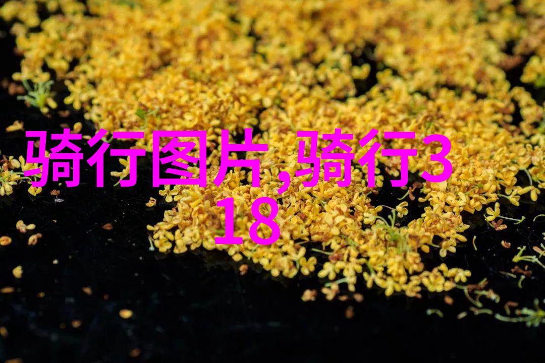 贵州的自然保护区可以进行什么样的活动