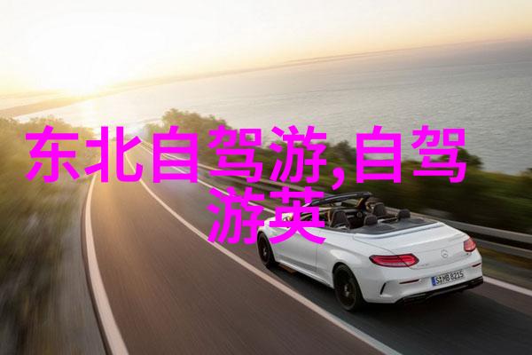 你真的不考虑购买折叠自行车吗那五天四夜的骑行之旅补胎三十多次的辛苦你还想再经历一次吗