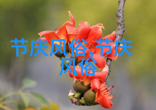蒙古族的聚居地区风土人情和名族习惯有哪些0--50字