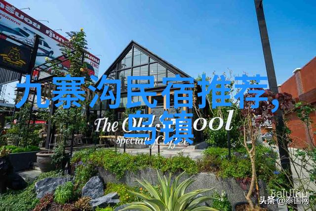 乌镇水乡美食之旅品味非凡的江南风味