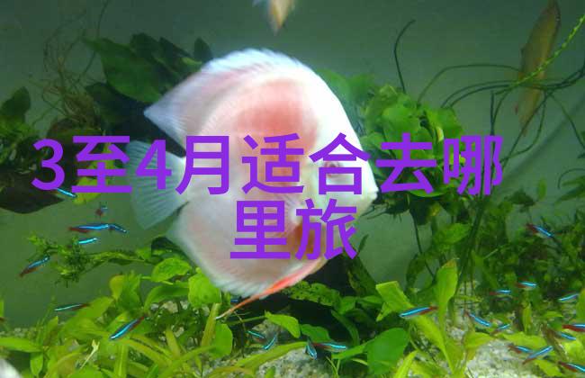 中国游记作文150字精选集中国美景游记