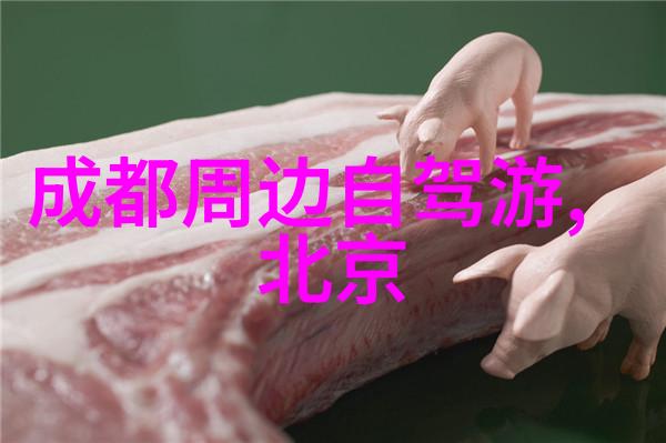 云南省份地图解析了解每个城市的特点与交通方式