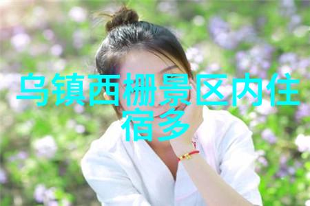 中国旅游十大必去景区黄山张家界故宫大理古城桂林漓江三亚泰山庐山