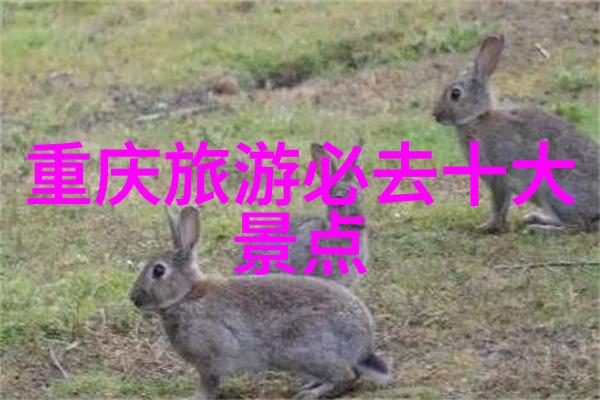 漠河一日游必去人气景点途牛旅游网云南跟团特价游等你来