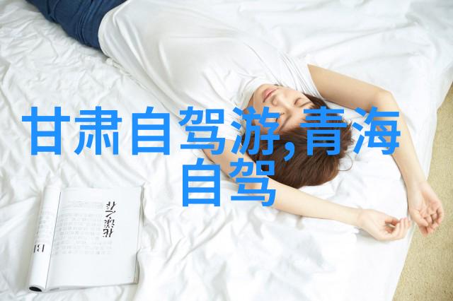 南美风情巴西阿根廷和智利的热情节拍