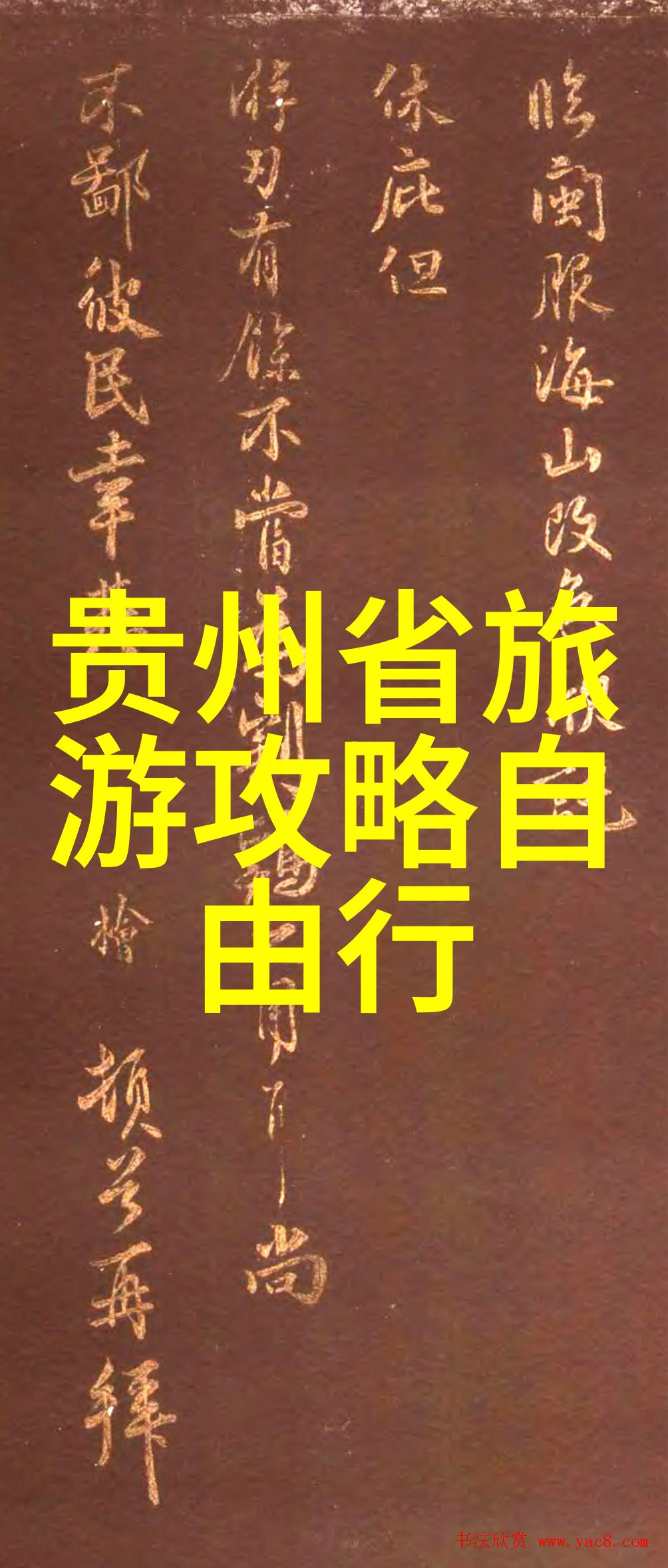 岁月列车时光的旅人