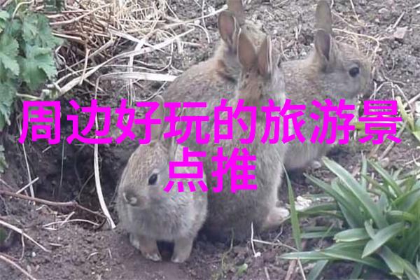 河南到云南自驾游经典线路探索中原古都与大理风光