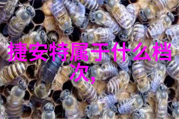 西域风情揭秘西北之美