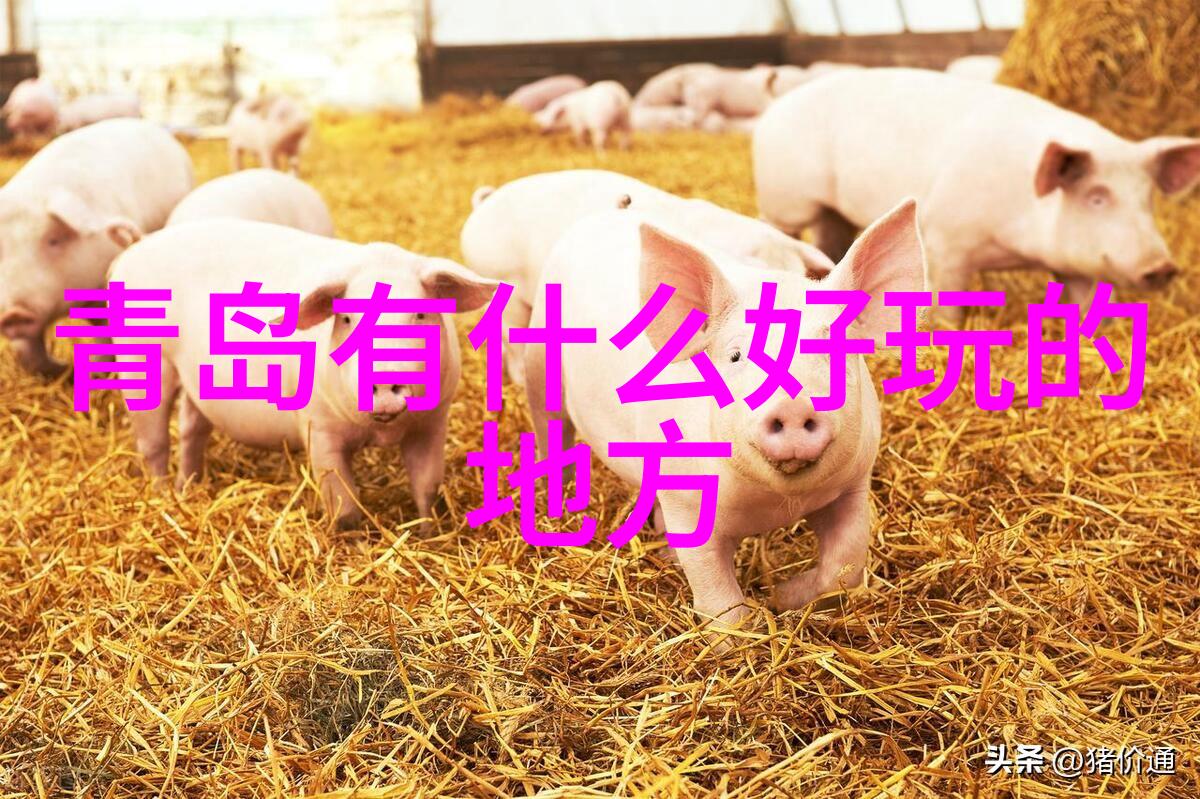 出国游与出境游之争探秘两者差异国际旅行的迷雾