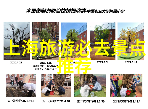 百年好合咬春饼我的家乡的传统美食故事