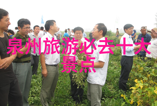 黄山旅游攻略探秘金陵江南的奇迹