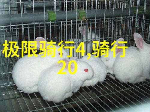 团队和谐趣味挑战的乐章