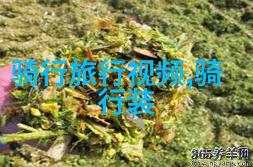 西部大峡谷的东方姊妹荔波大小七孔