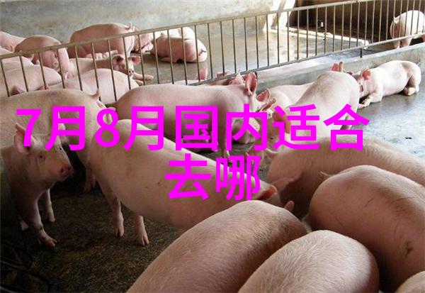 十一黄金周自驾游揭秘最佳路线秘籍