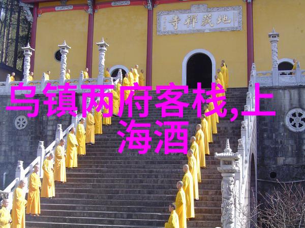 在寻找入门级山地车推荐的过程中您是否考虑过尝试内特小吃中的酸味体验呢