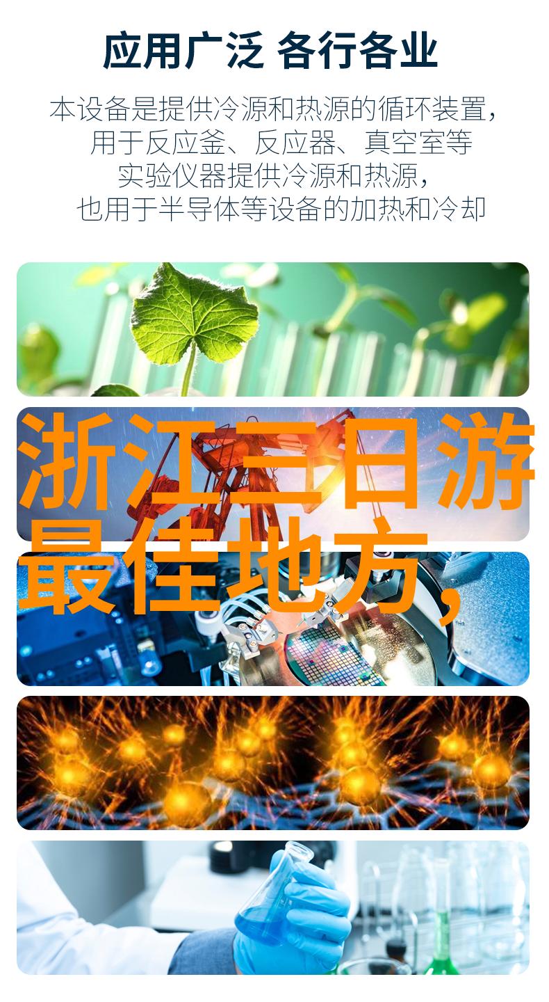 三年级学生夏令营探险游记儿童夏令营的精彩体验