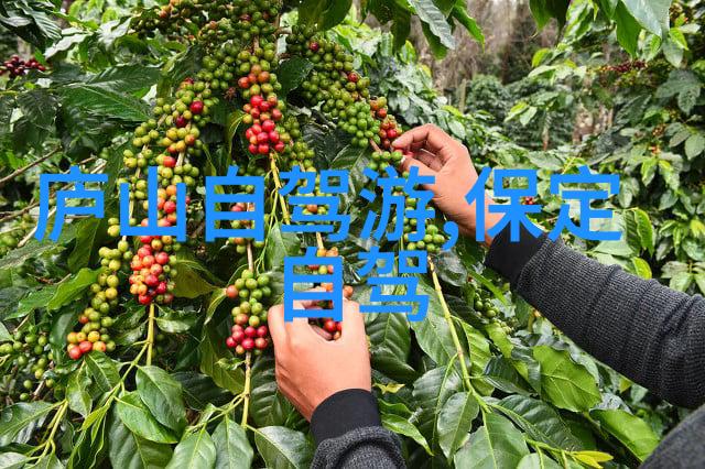 熊猫时空馆旅游团在哪里找