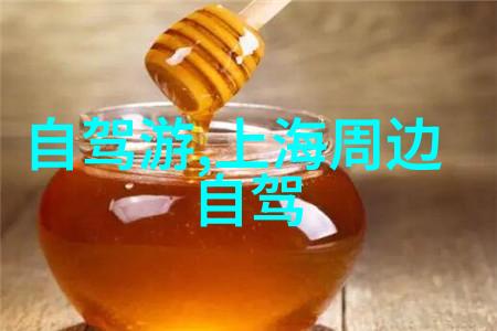 丽江古城内有没有可供租借自行车的地方吗