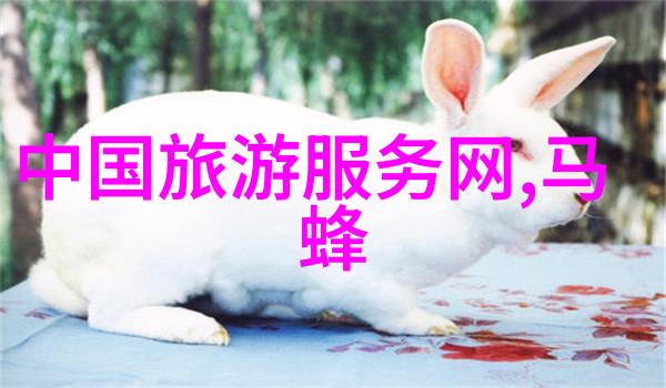 云南自由行8天最佳路线 - 云南风情之旅揭秘一周游的绝佳攻略