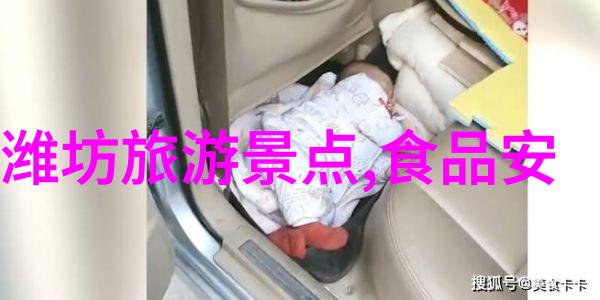 学会合作学做朋友组织小组户外游戏计划