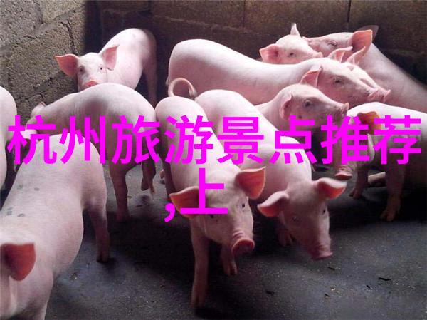 全国旅游资讯网官网-探索全景全国旅游资讯网官网的旅行指南