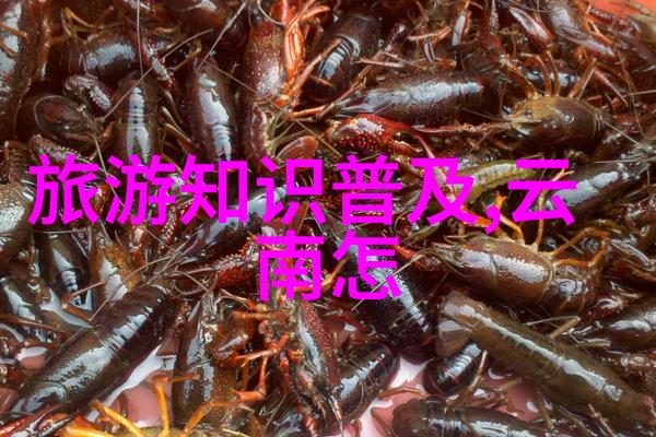 斗罗玉转不乐的奇遇-宝石世界里的无奈探险斗罗玉转不乐的奇遇