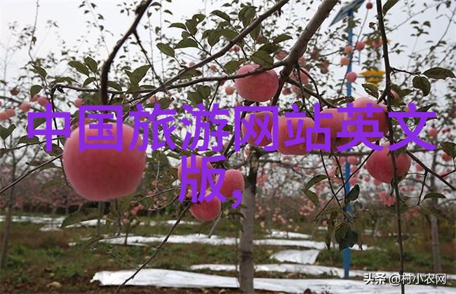 云南旅游景点线路图-探索云南美丽一条穿越大理丽江的奇遇之旅
