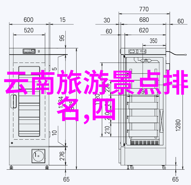 从马可波罗到尼科洛貢扎加哪些外国人留下了关于中国历史最著名的游记