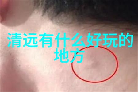 股票投资 从零开始学炒股大全集入门指南与实战策略
