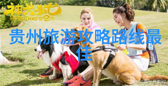 时光机器里的秘密花园回忆与期待交织