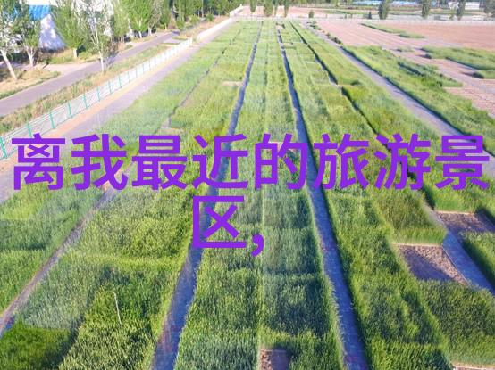 穿越白茫的雪乡一场自驾游的秘密