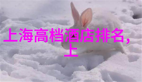 武汉历史文化博物馆时间穿梭的自驾体验