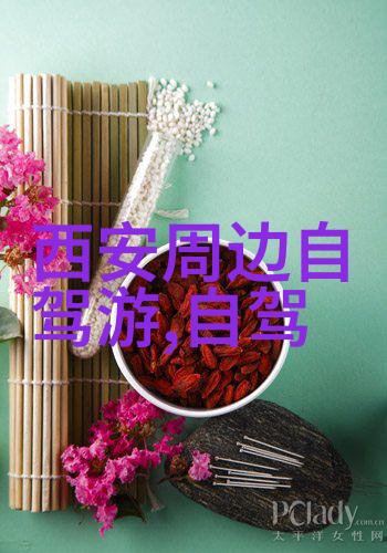 远方的脚步2022年出境游的未定章节