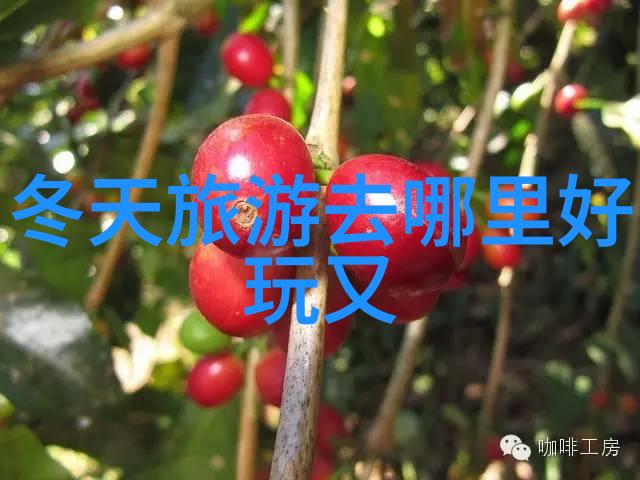 全国旅游线路图及景点亲自探索一条条带你走遍中国的美丽旅程