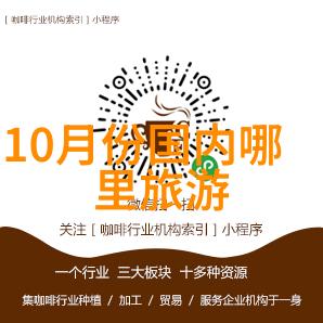 春节在泉州过年体验丰富多彩的传统节日文化