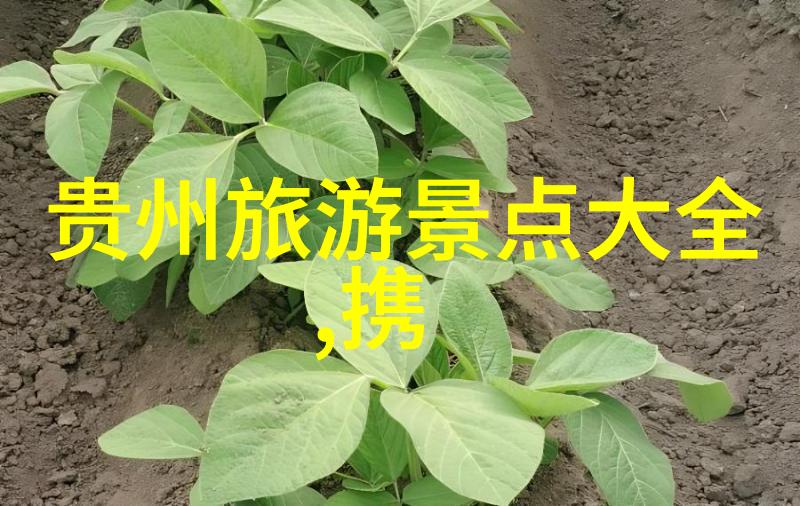 香格里拉云南之冠一场自然风光之旅