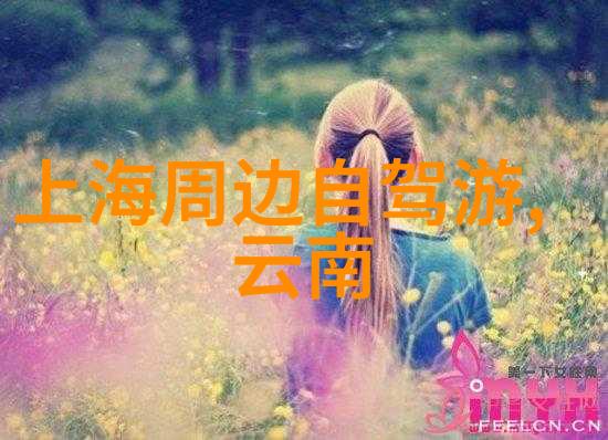 旅行社最怕什么投诉才会退款 - 行程被迫终止揭秘旅行社不退款的十大忌