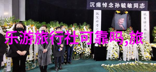 津渝视频完整版9解析探索重庆与天津城市文化的交汇点