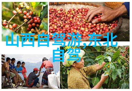 西安旅游必去景点攻略我在西安这5个必去的地方