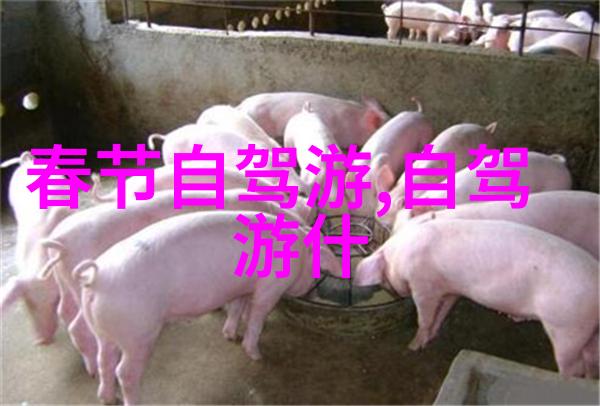 国内旅游热点探秘中国最美之地