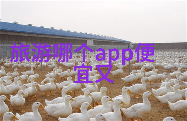 上海自驾游-探索东方明珠上海周边自驾游攻略与推荐